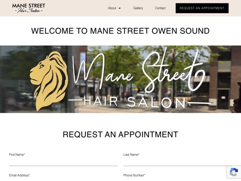 Screenshot of the Aveda Mane Street Hair Salon website