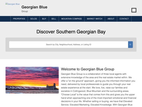 Screenshot of the Georgian Blue Group website