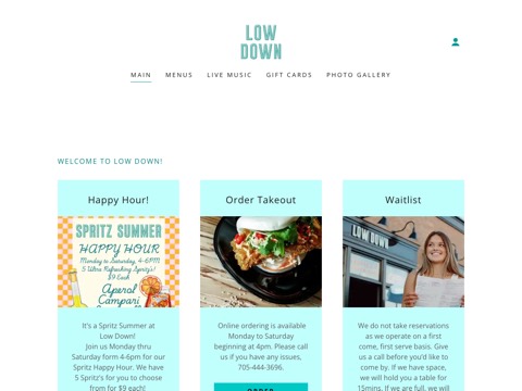 Screenshot of the Low Down website